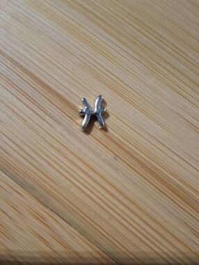 Pisces ♓️ Zodiac Charm For Floating Lockets